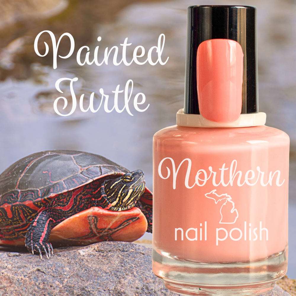 Painted Turtle ~ Vegan Nail Polish