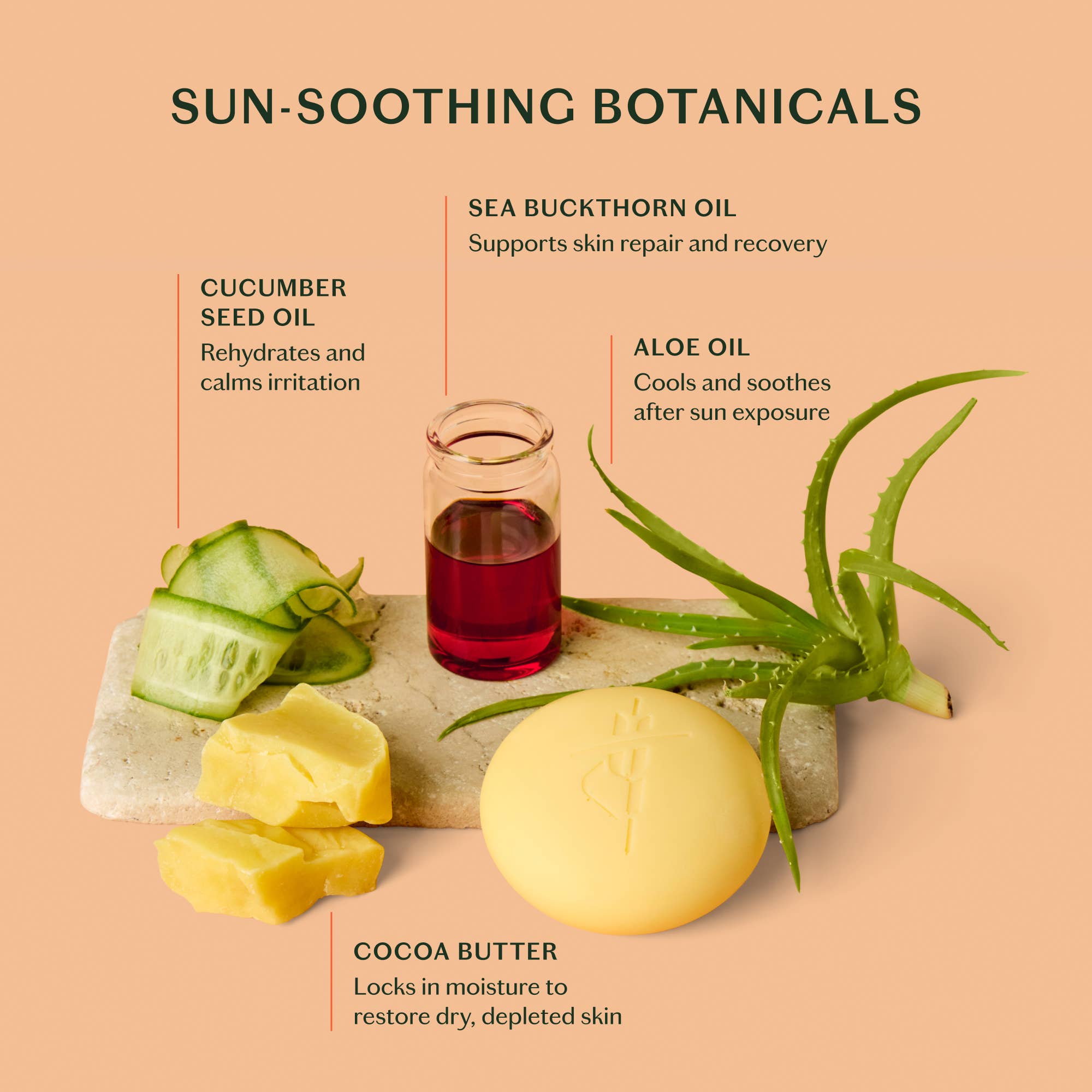 The Sun Stone | After Sun Balm & Lotion Bar