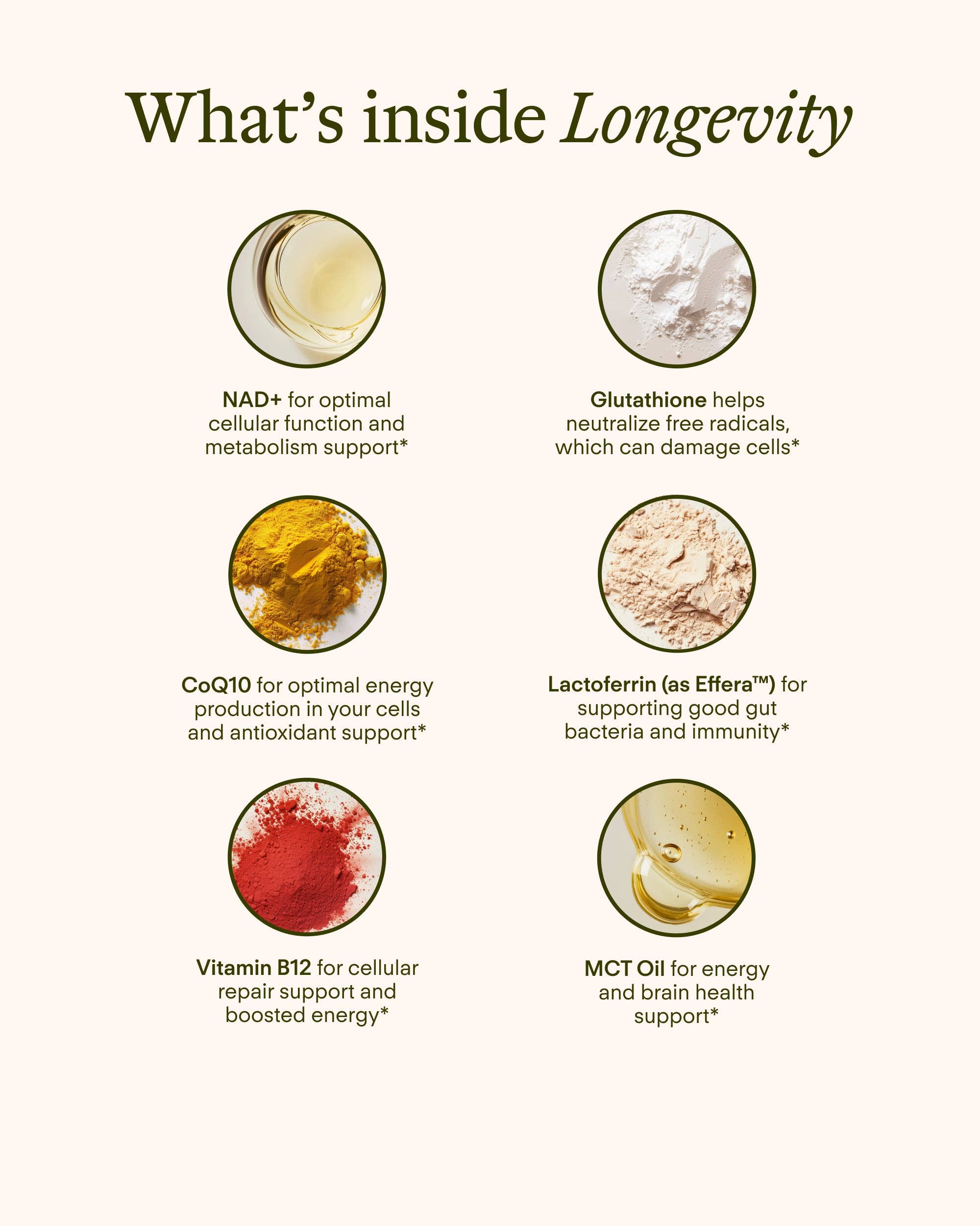Longevity Support NAD+