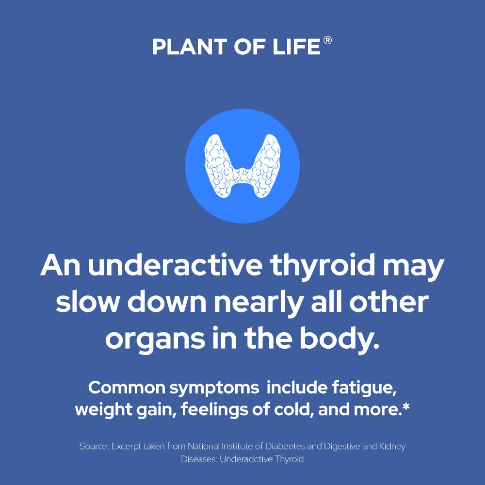 Thyroid Support - Healthy Thyroid & Metabolic Function