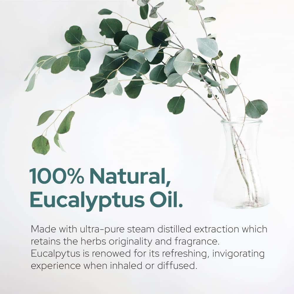 Eucalyptus Essential Oil | Therapeutic Grade | Multi Sizes
