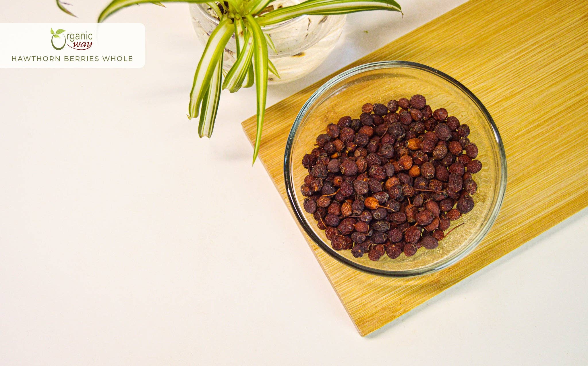 Hawthorn Berries Fruit Whole (Crataegus monogyna) - European Wild-Harvest | Kosher Certified | Vegan, Non GMO & Gluten Free | USDA Certified | Origin - Albania