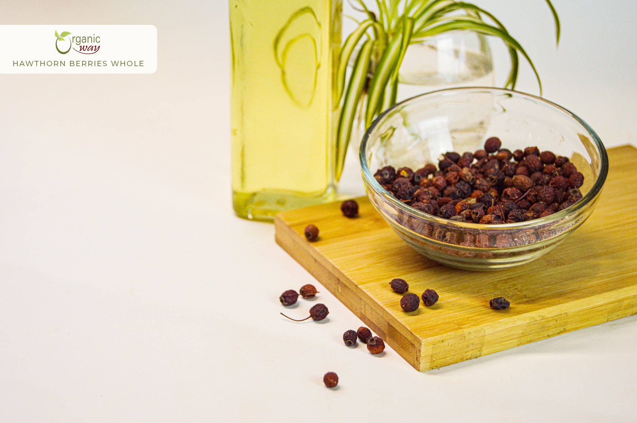 Hawthorn Berries Fruit Whole (Crataegus monogyna) - European Wild-Harvest | Kosher Certified | Vegan, Non GMO & Gluten Free | USDA Certified | Origin - Albania