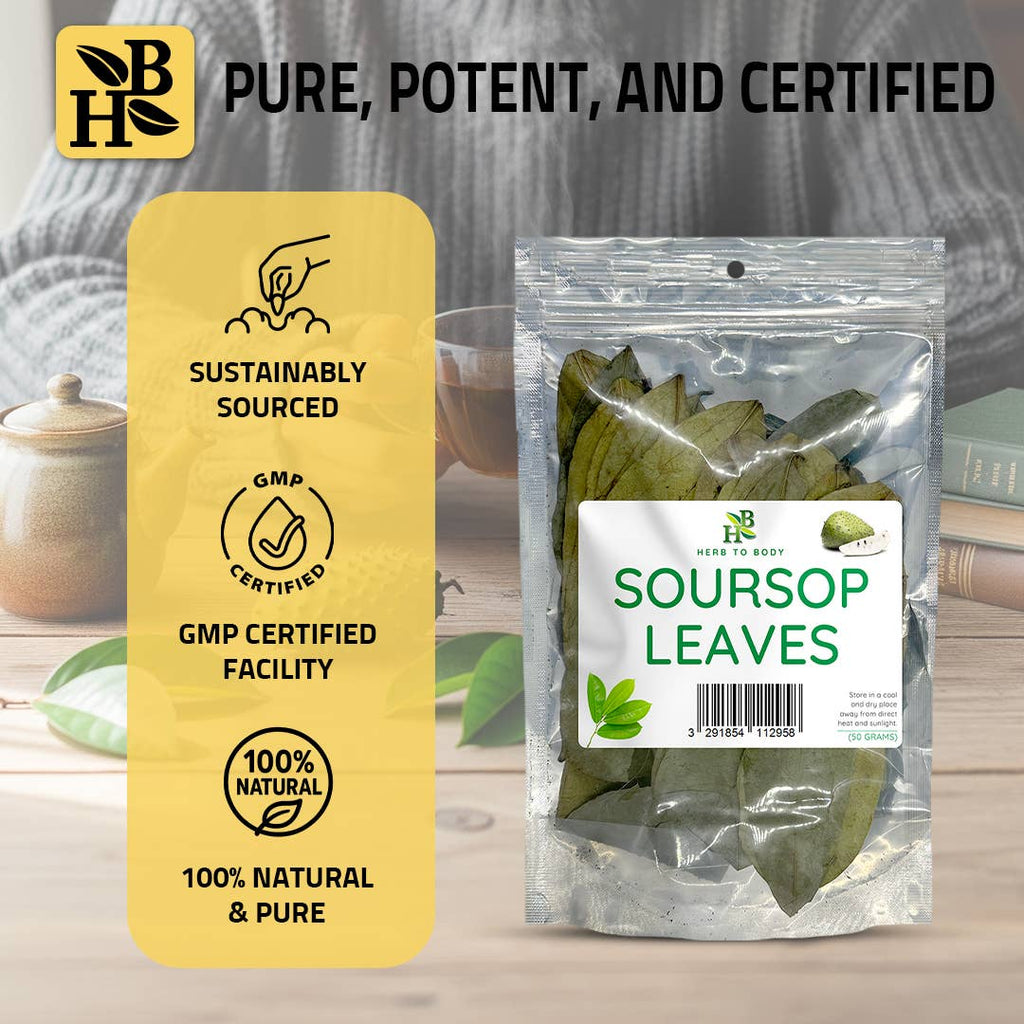 Organic Soursop Leaves 50g - Dried Leaf | Hoja De Guanabana