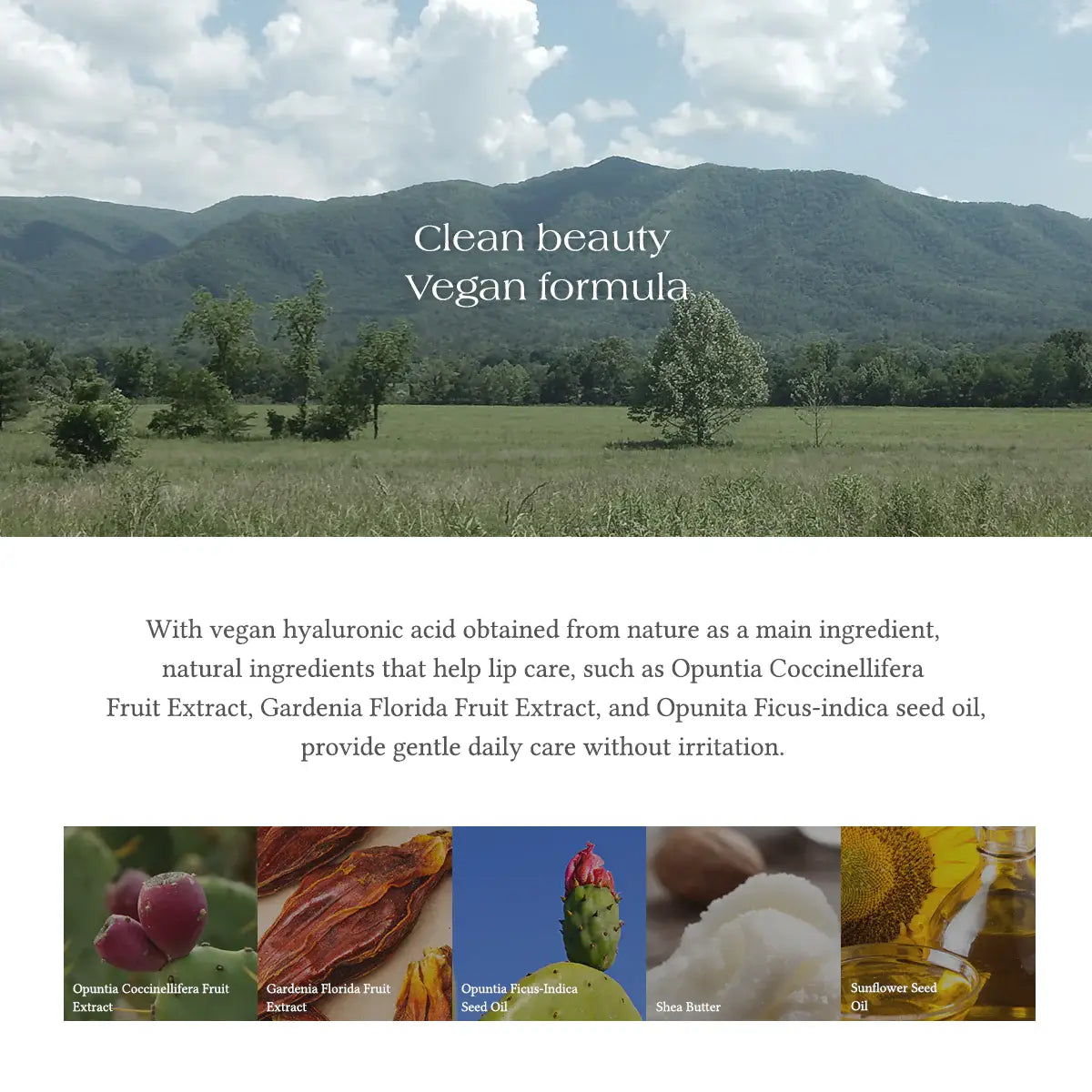 Soft Melting Lip Balm