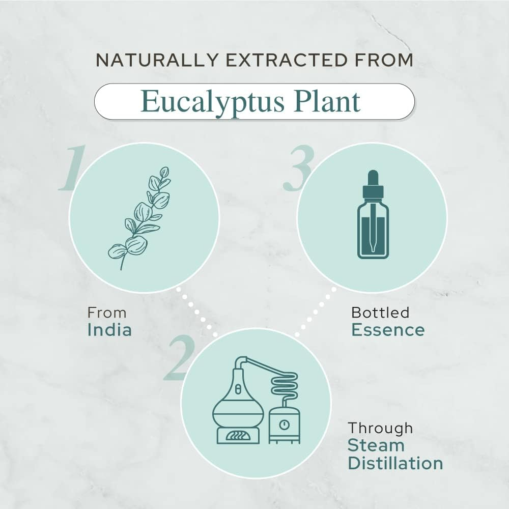Eucalyptus Essential Oil | Therapeutic Grade | Multi Sizes
