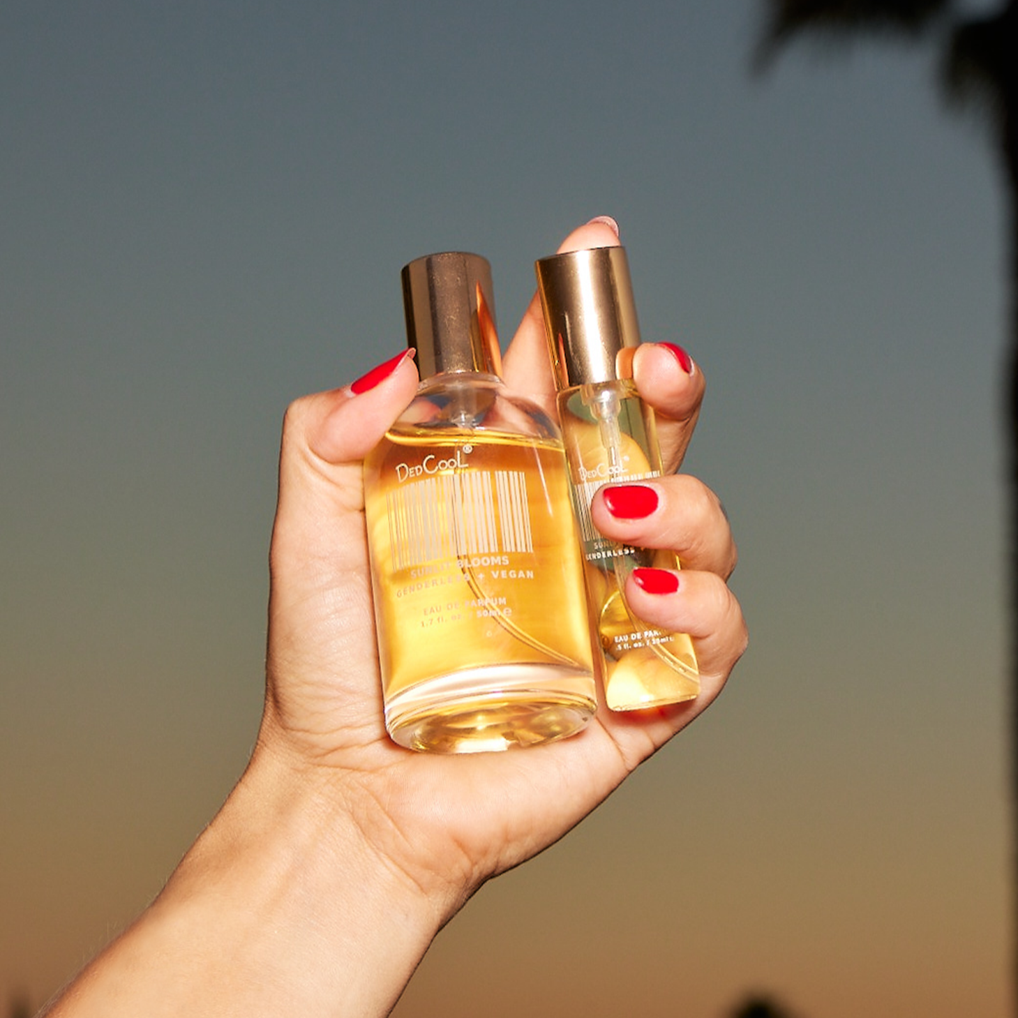 Sunlit Blooms Fragrance