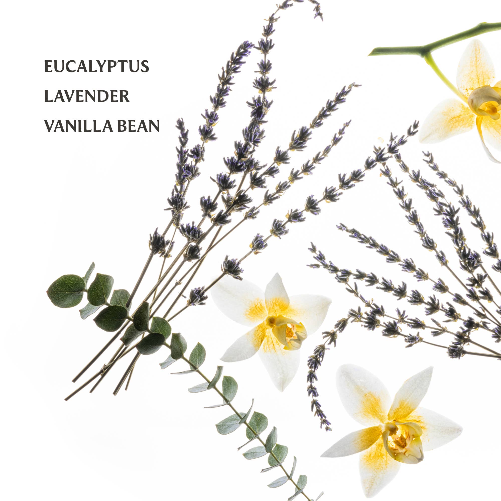 Pure Lavender Power Mist Hydrating Hand Sanitizer