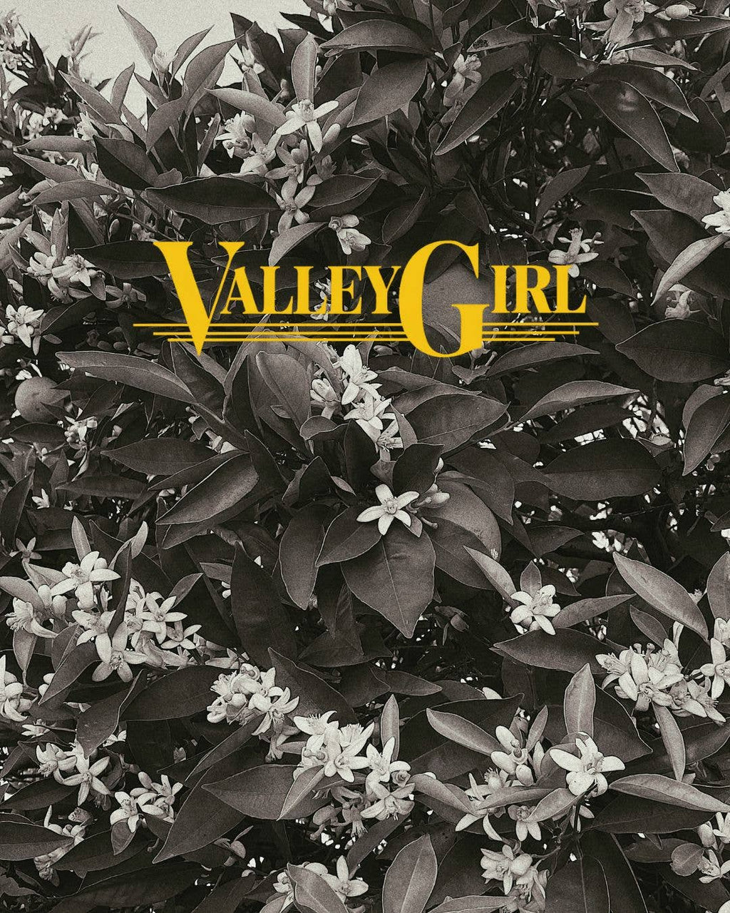 VALLEY GIRL PERFUME OIL ROLLER WAND