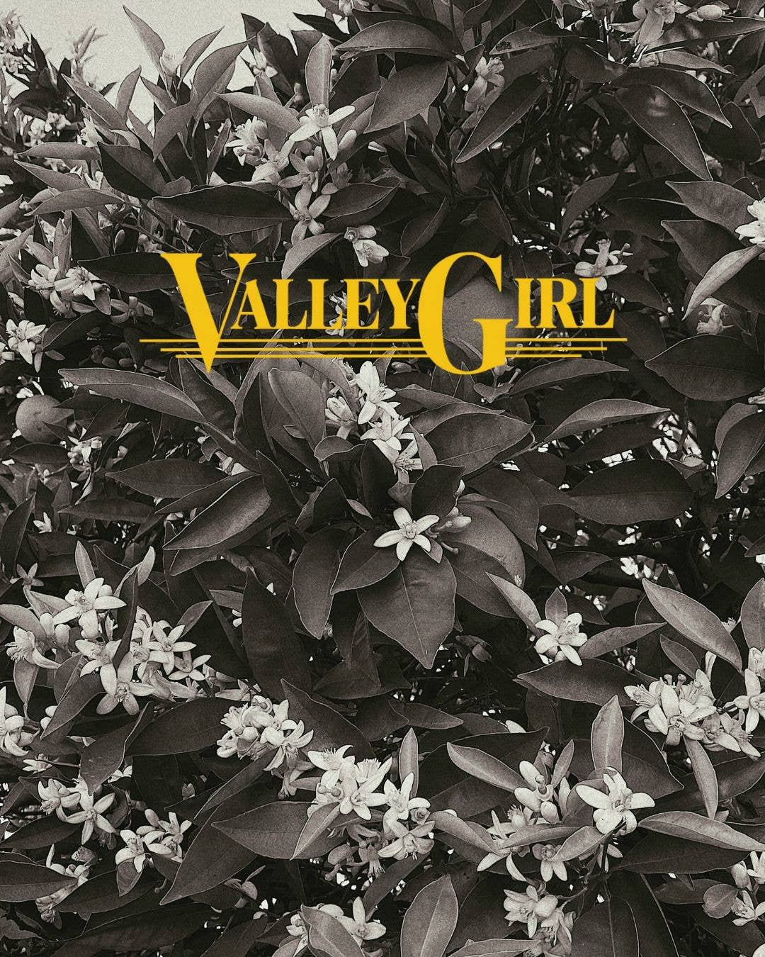 VALLEY GIRL PERFUME OIL ROLLER WAND