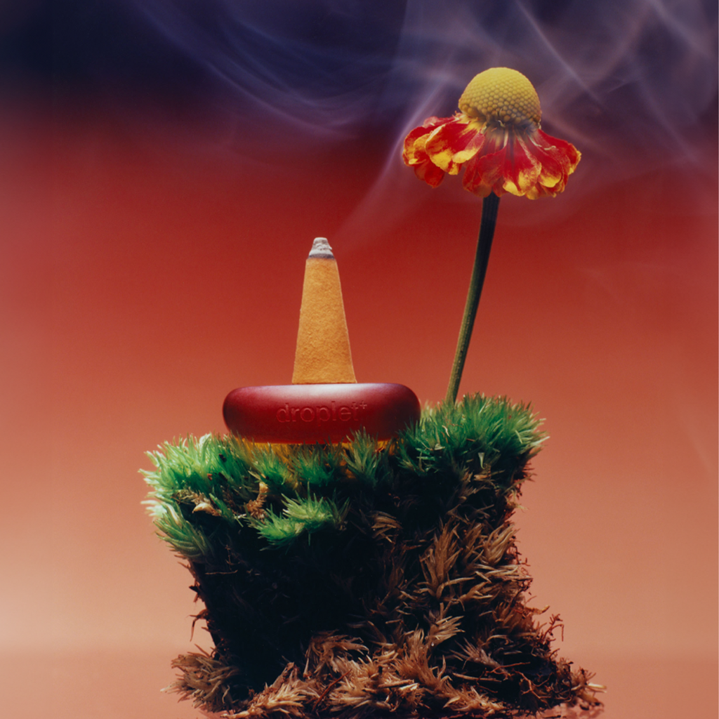 Ripple⁺ Focus - Wildflower Incense Cones