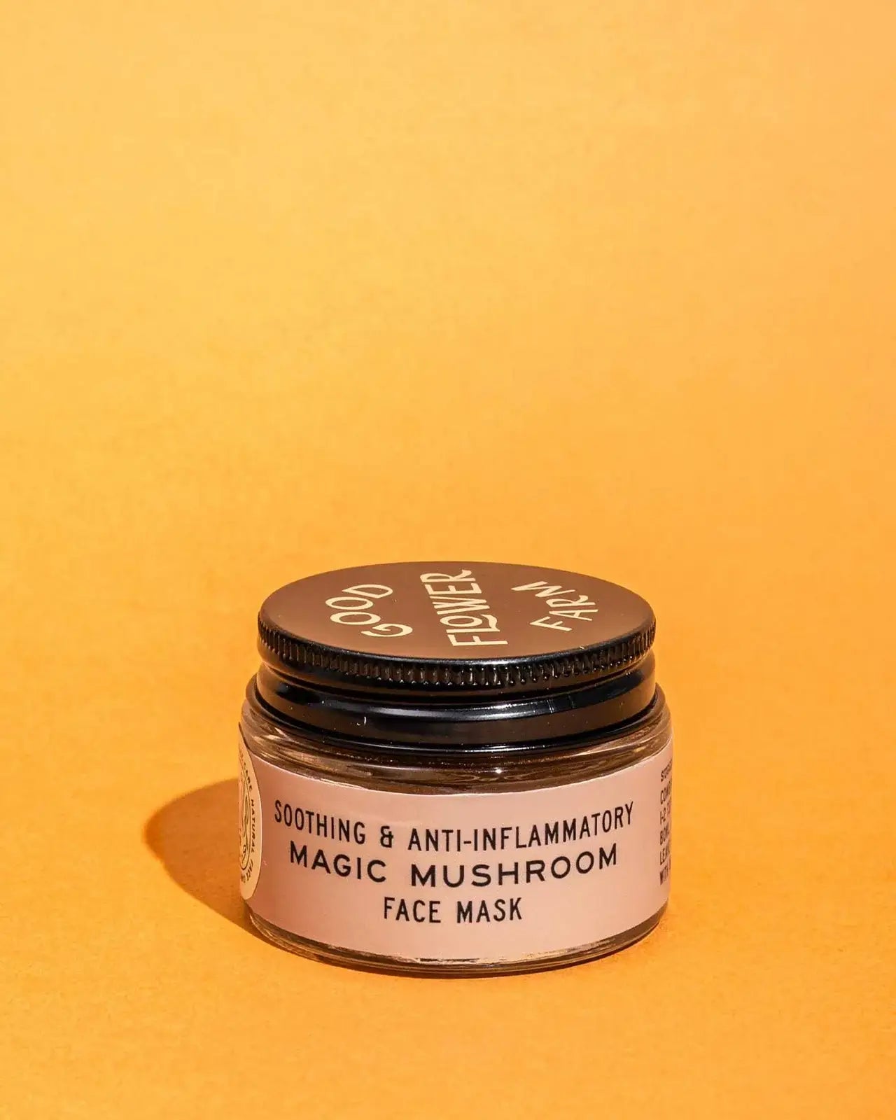 Magic Mushroom Face Mask / 1 oz