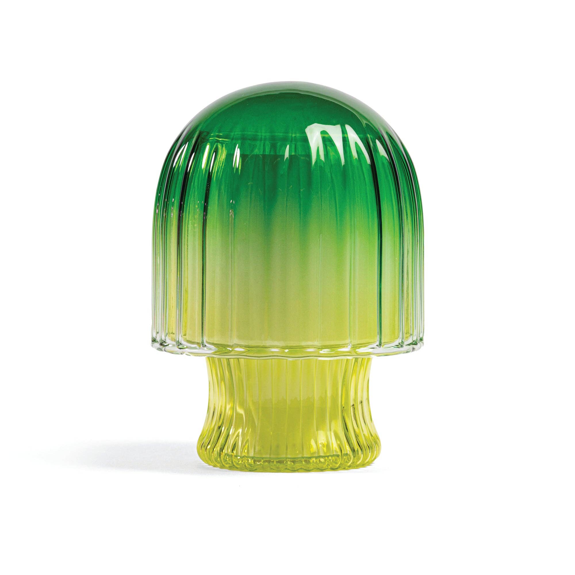 Hallo Iceland Moss Mushroom Cloche Candle