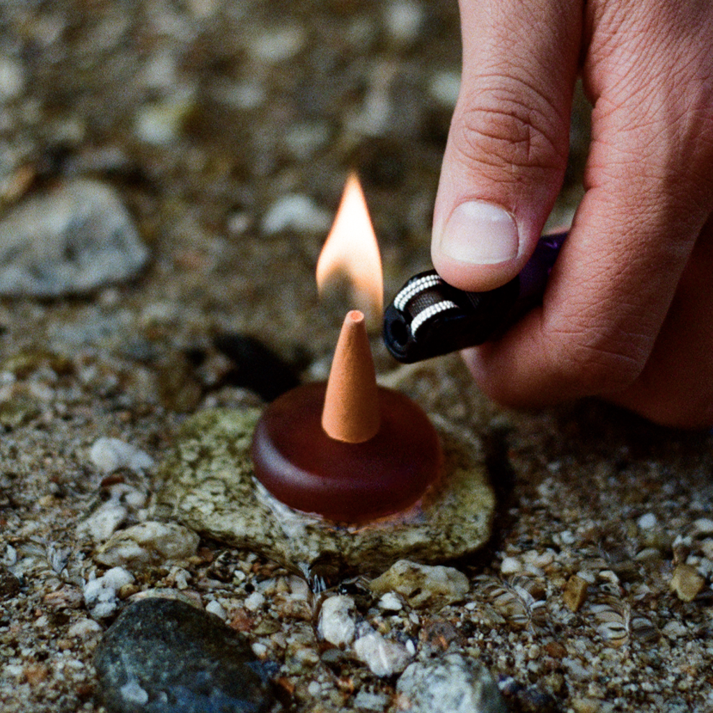 Ripple⁺ Focus - Wildflower Incense Cones