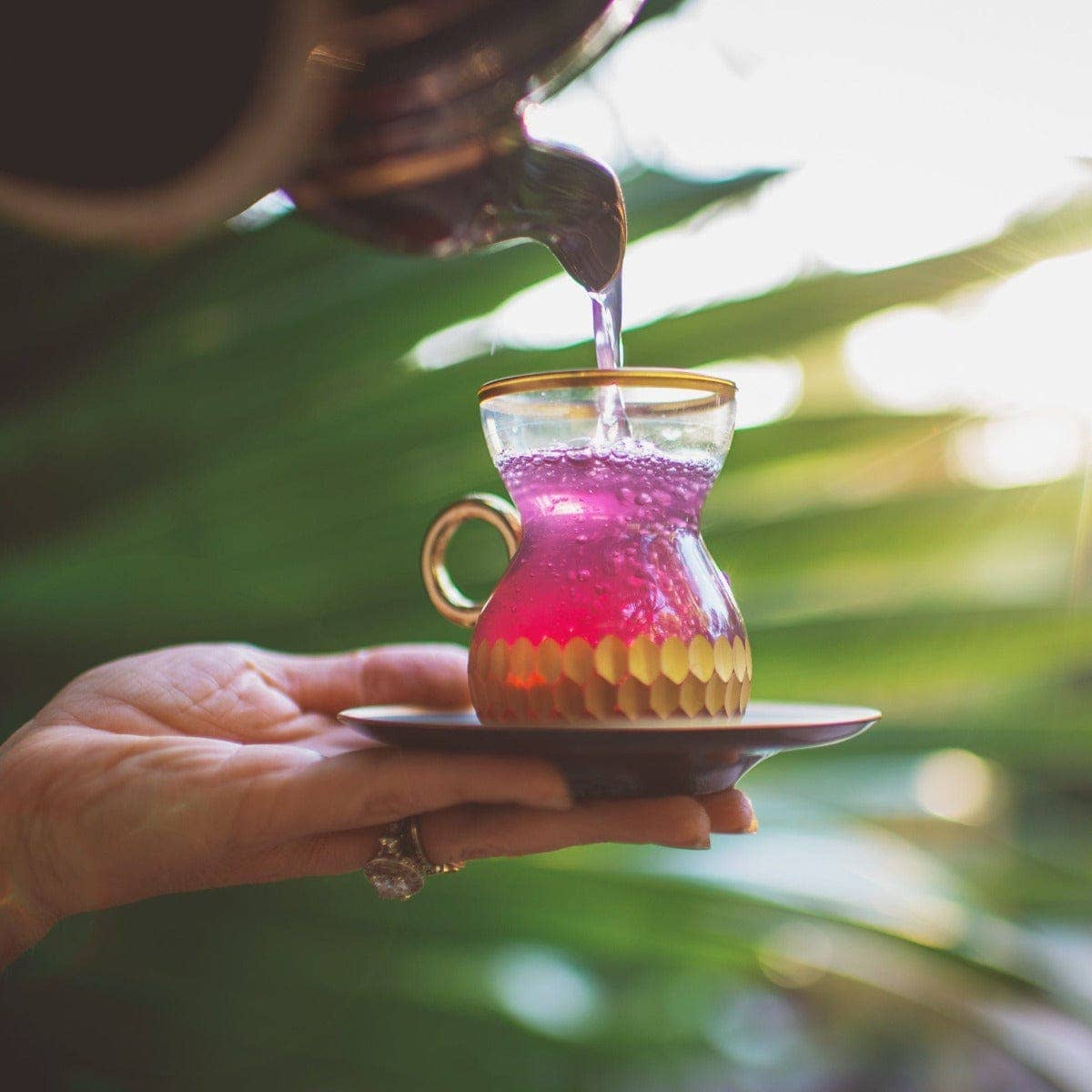 Pink Tourmaline: Organic Dragon Fruit Hibiscus White Tea for Immune Support, Heart & Breast Health