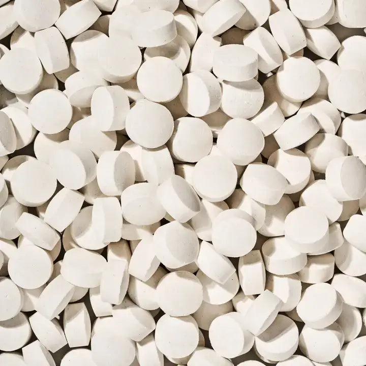 Fluoride-Free Toothpaste Tablets | Charcoal Mint