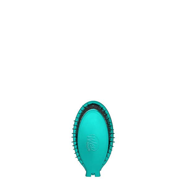 Wet Brush Pop and Go Detangler