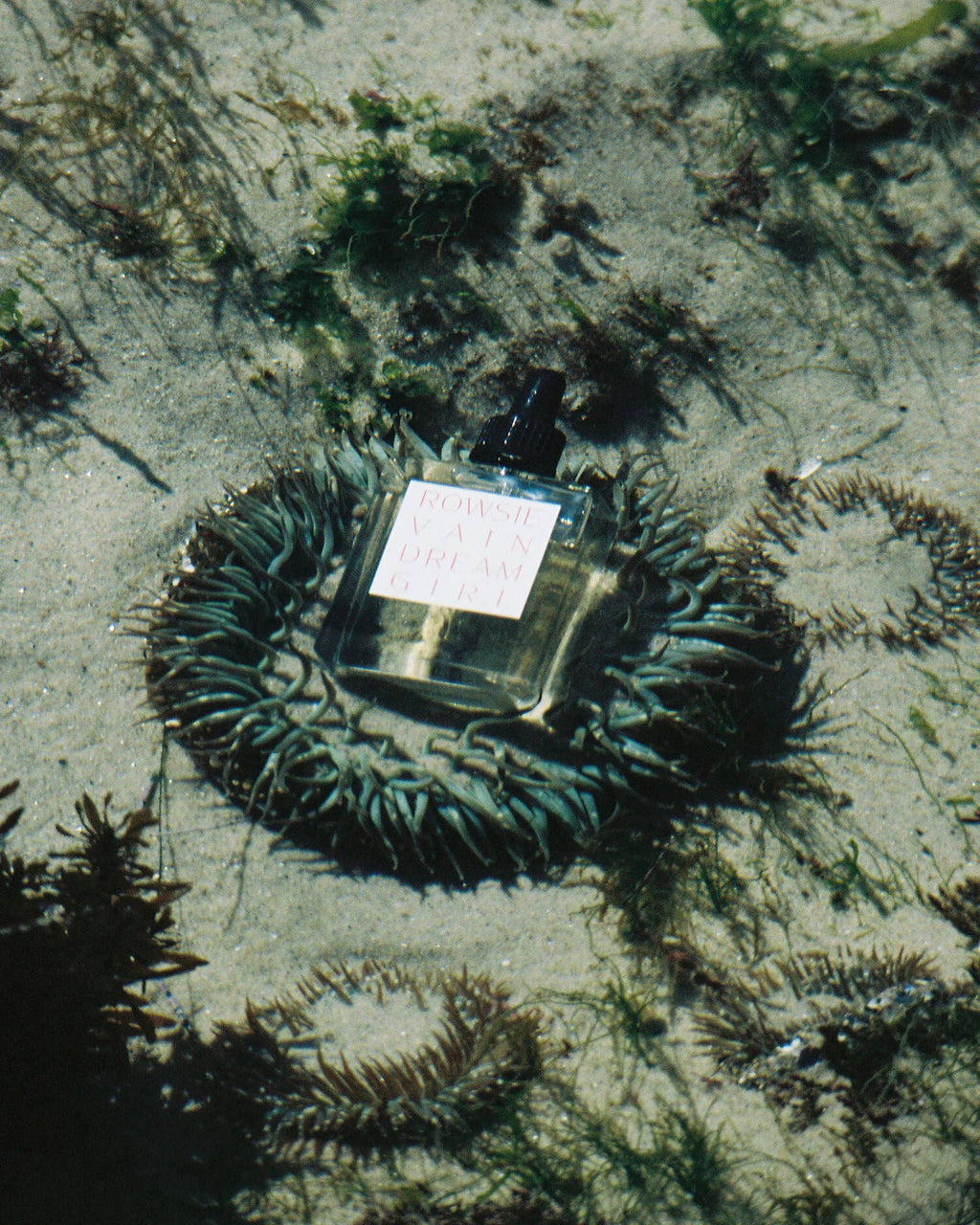 DREAMGIRL PERFUME OIL ROLLER WAND