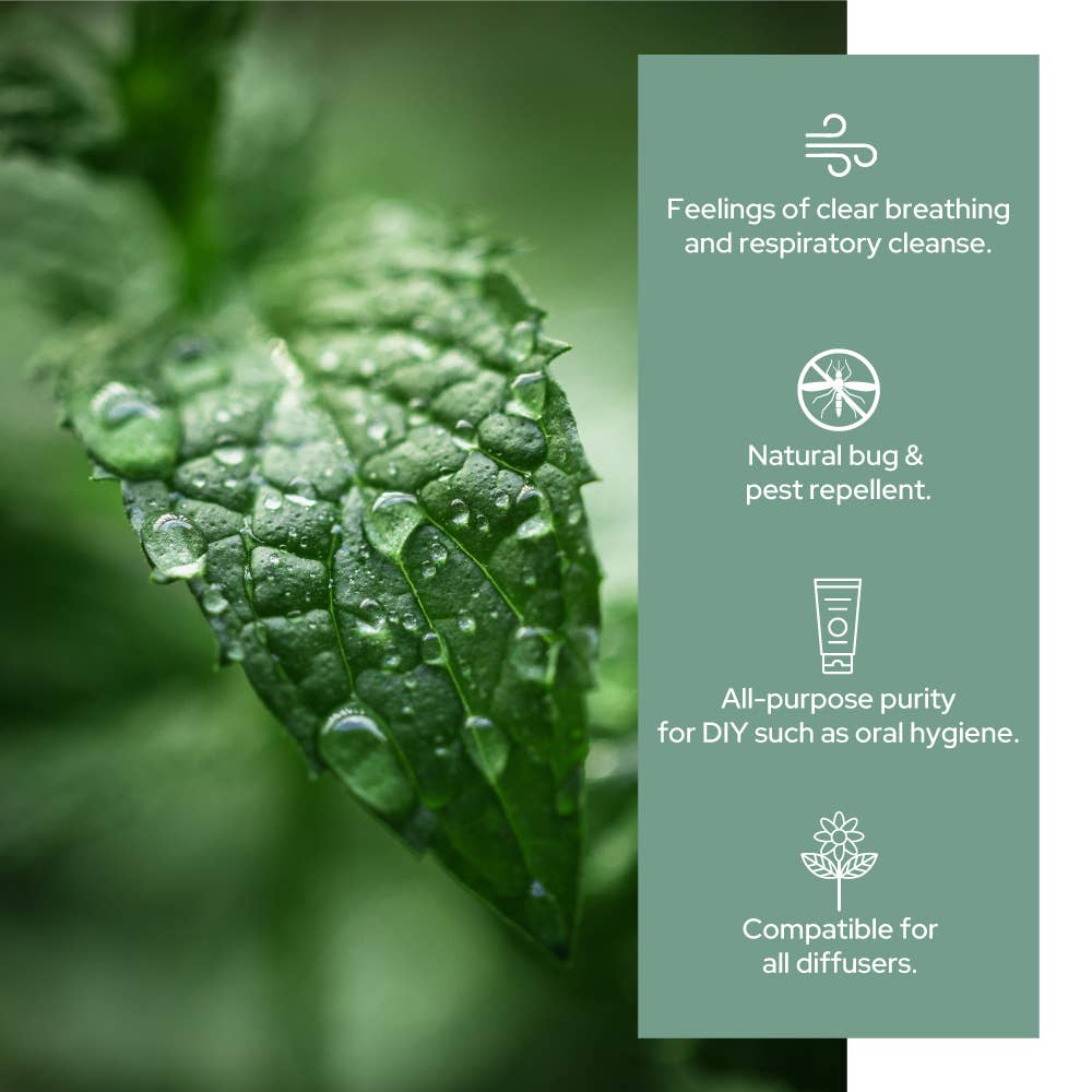 Pure Peppermint Essential Oil - Therapeutic Grade -  Sizes