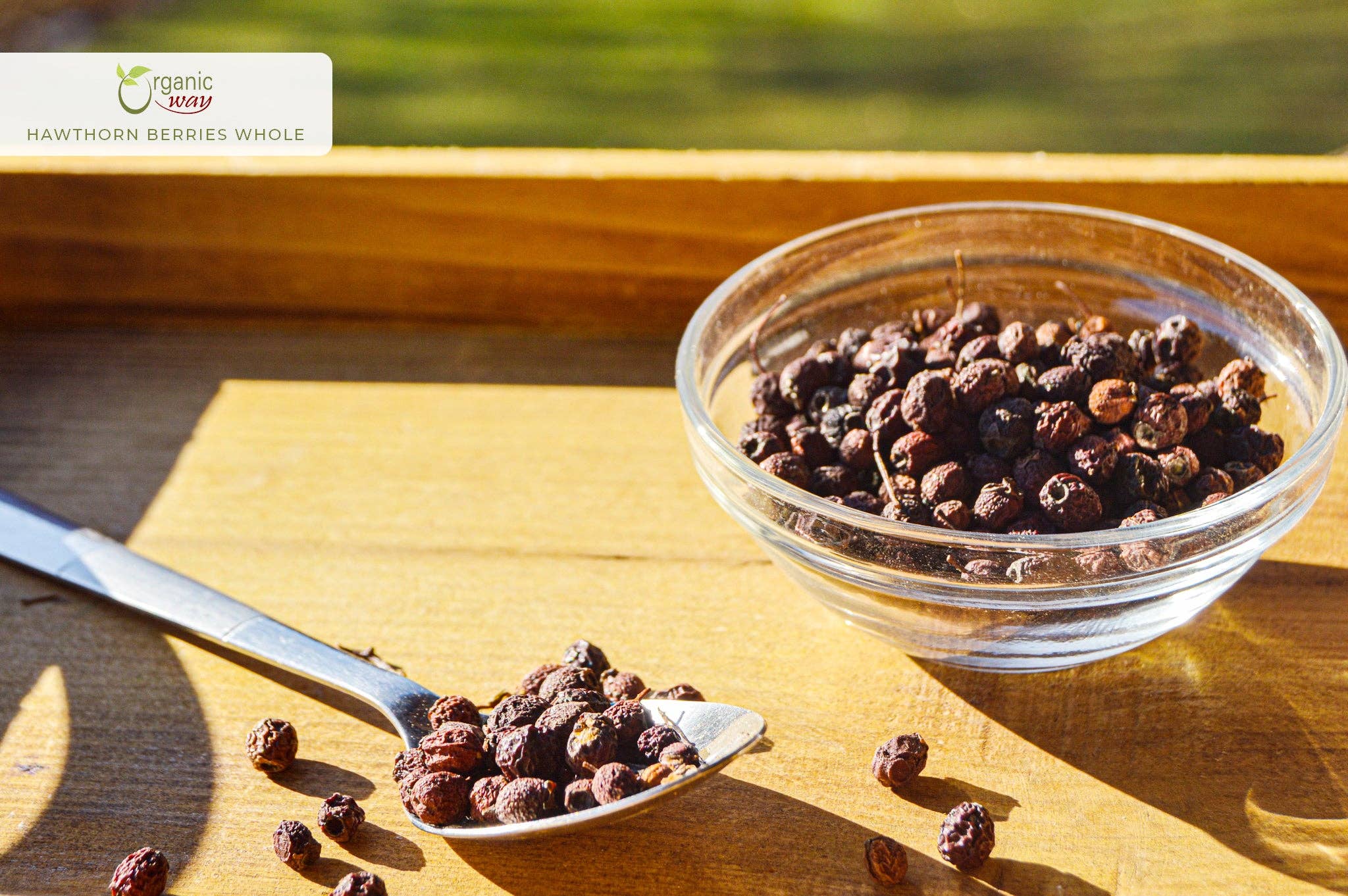 Hawthorn Berries Fruit Whole (Crataegus monogyna) - European Wild-Harvest | Kosher Certified | Vegan, Non GMO & Gluten Free | USDA Certified | Origin - Albania