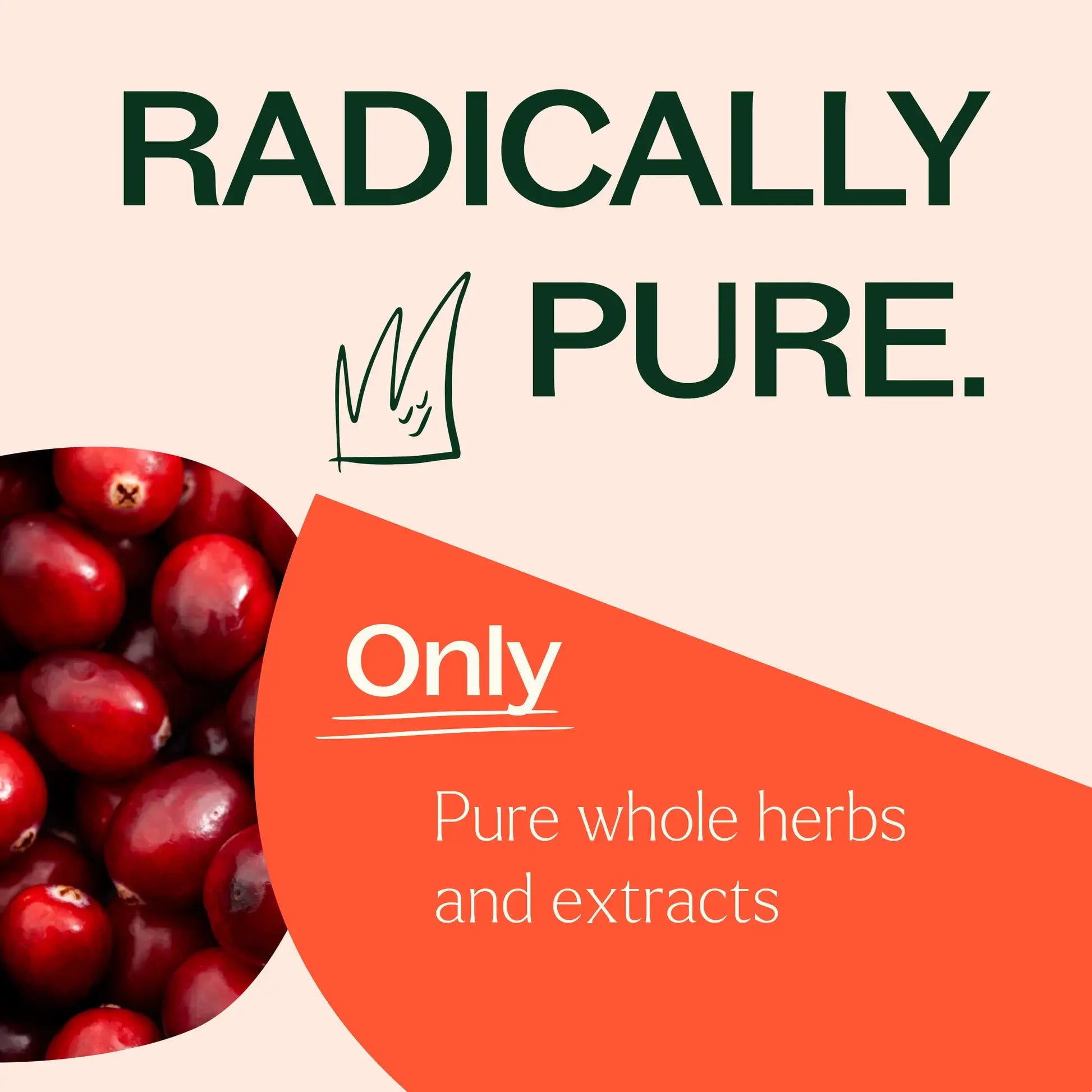 Cranberry Extract with Vitamin C Herbal