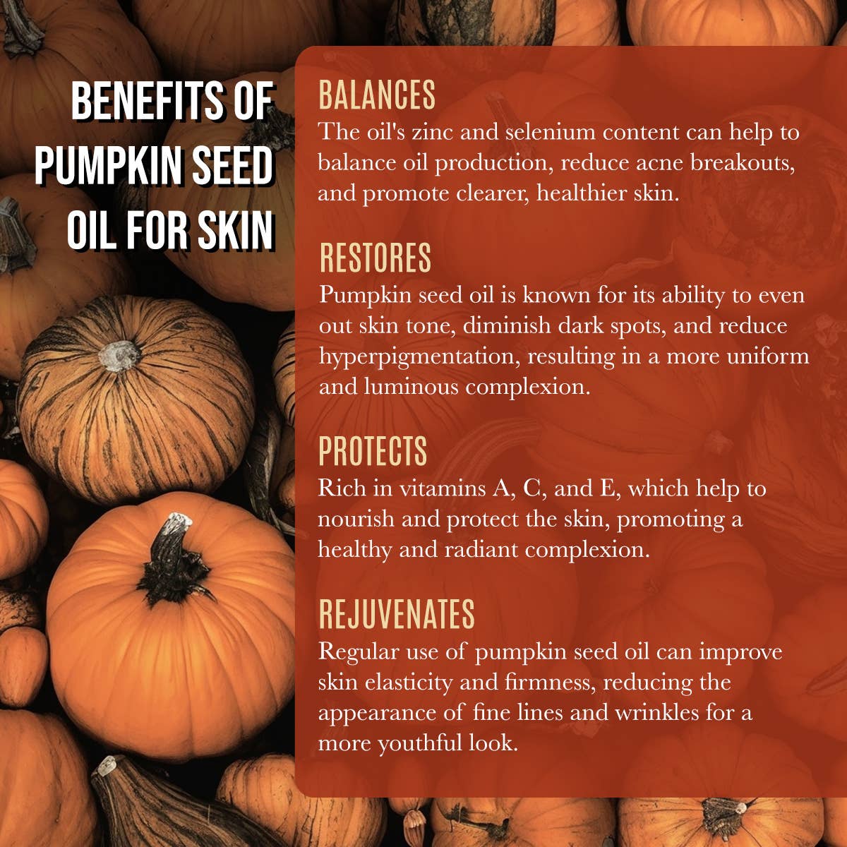 Organic Pumpkin Seed Oil Anti Aging Facial Oil { 4 fl oz