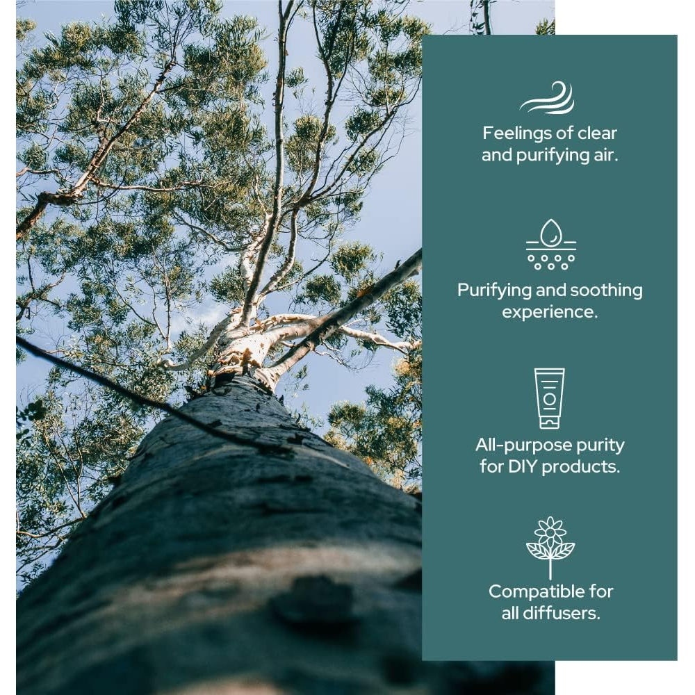 Eucalyptus Essential Oil | Therapeutic Grade | Multi Sizes