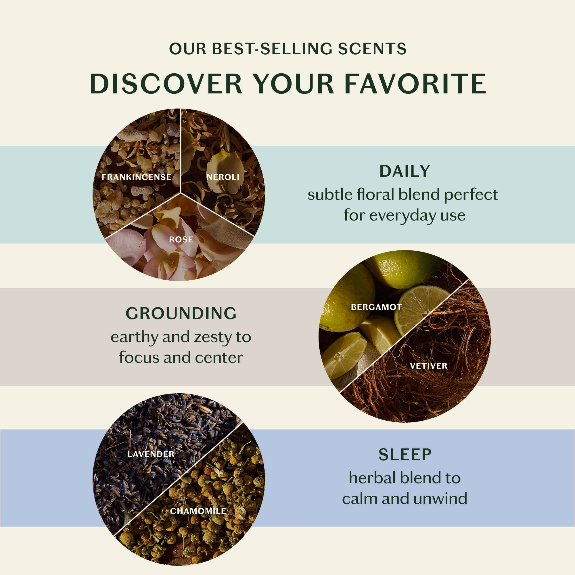 The Essential Collection Mini Sampler Set